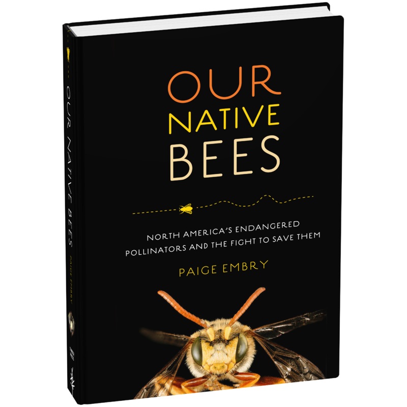 Our Native Bees