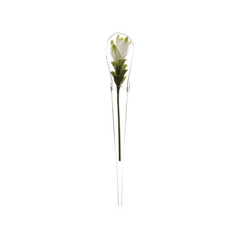 Window Cone Glass Modern Clear Flower Vase