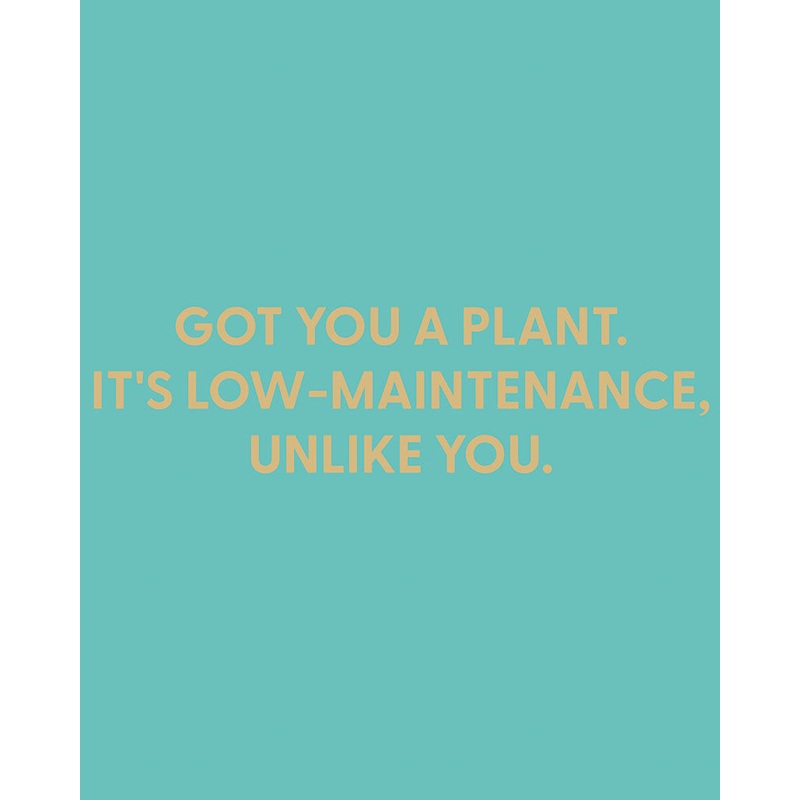 Got you a plant. It’s low-maintenance, unlike you. – Greeting Card