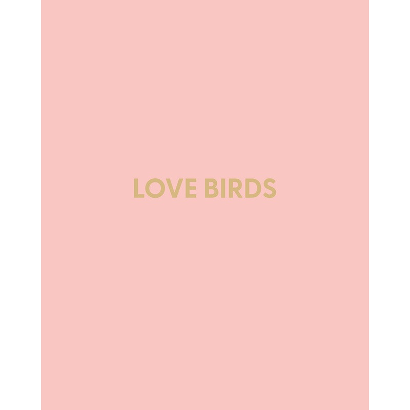 Love Birds – Greeting Card