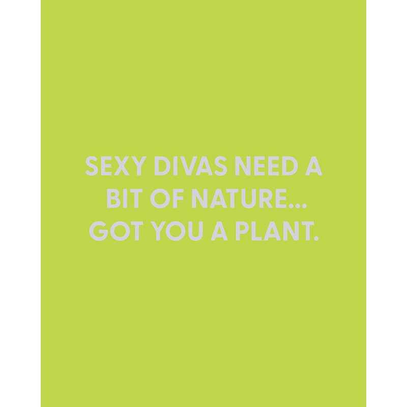 Sexy divas need a bit of nature… Got you a plant. – Greeting Card