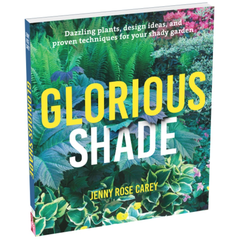 Glorious Shade