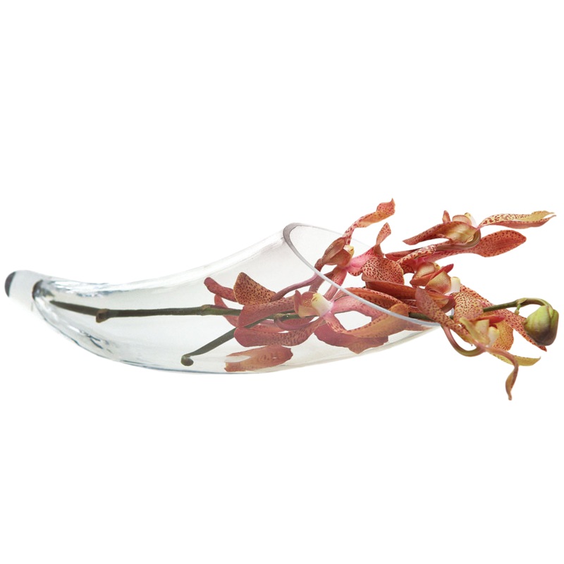 Horn Glass Modern Clear Flower Vase