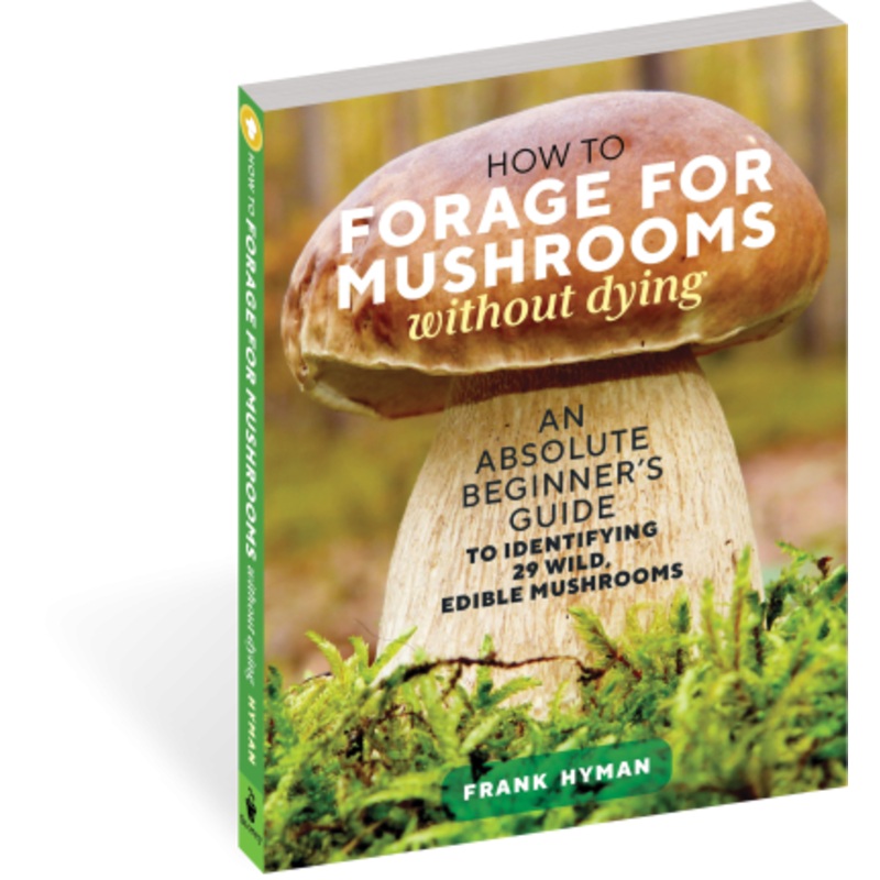 How to Forage For Mushrooms Without Dying