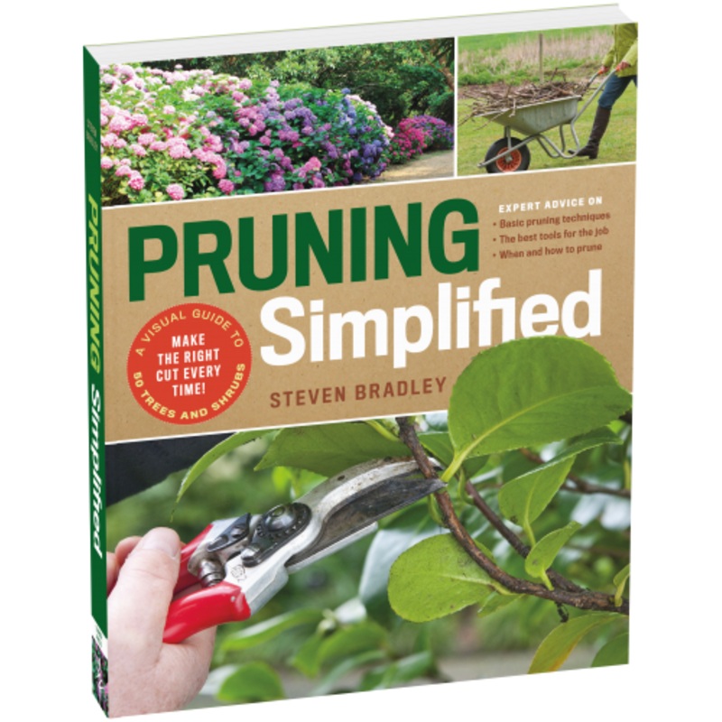 Pruning Simplified