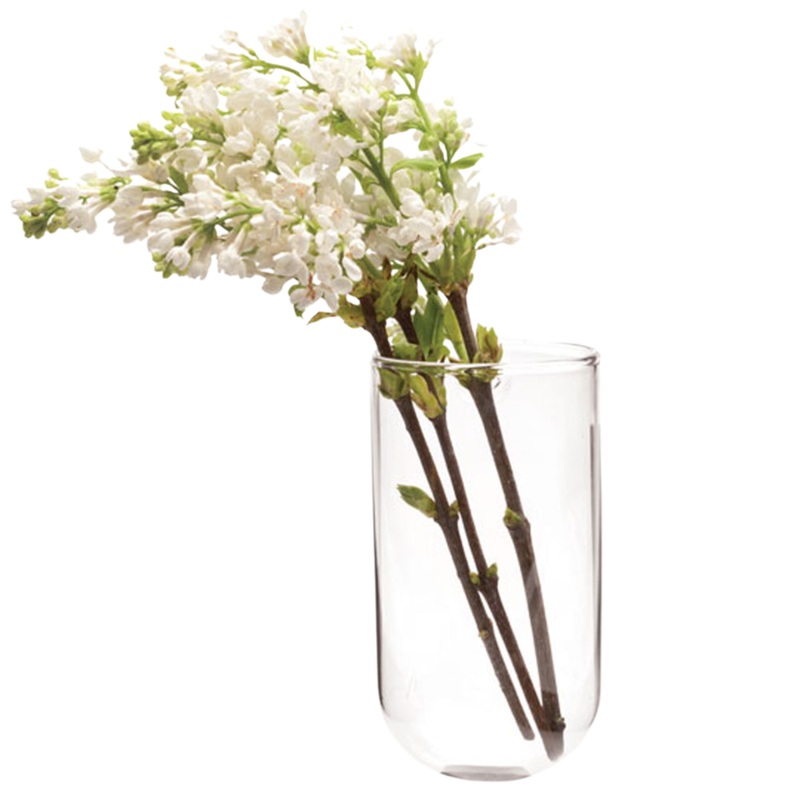 Wall Cup Glass Modern Clear Flower Vase