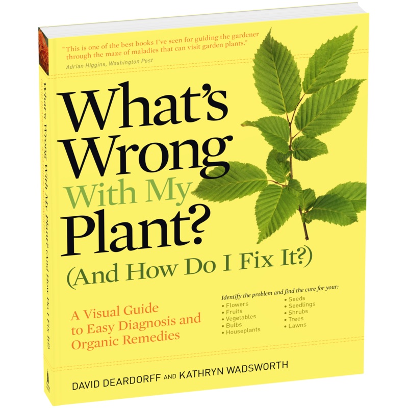 What’s Wrong With My Plant? (And How Do I Fix It?)