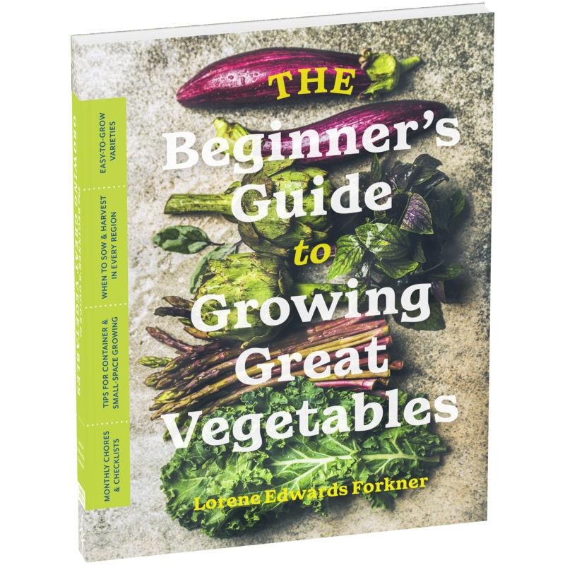 Beginner’s Guide to Growing Great Vegetables