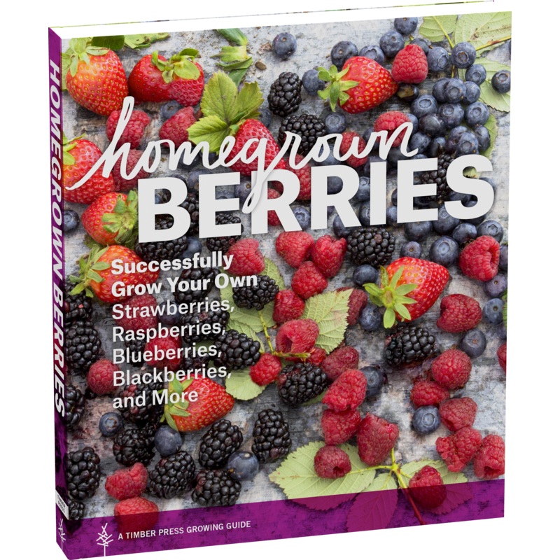 Homegrown Berries