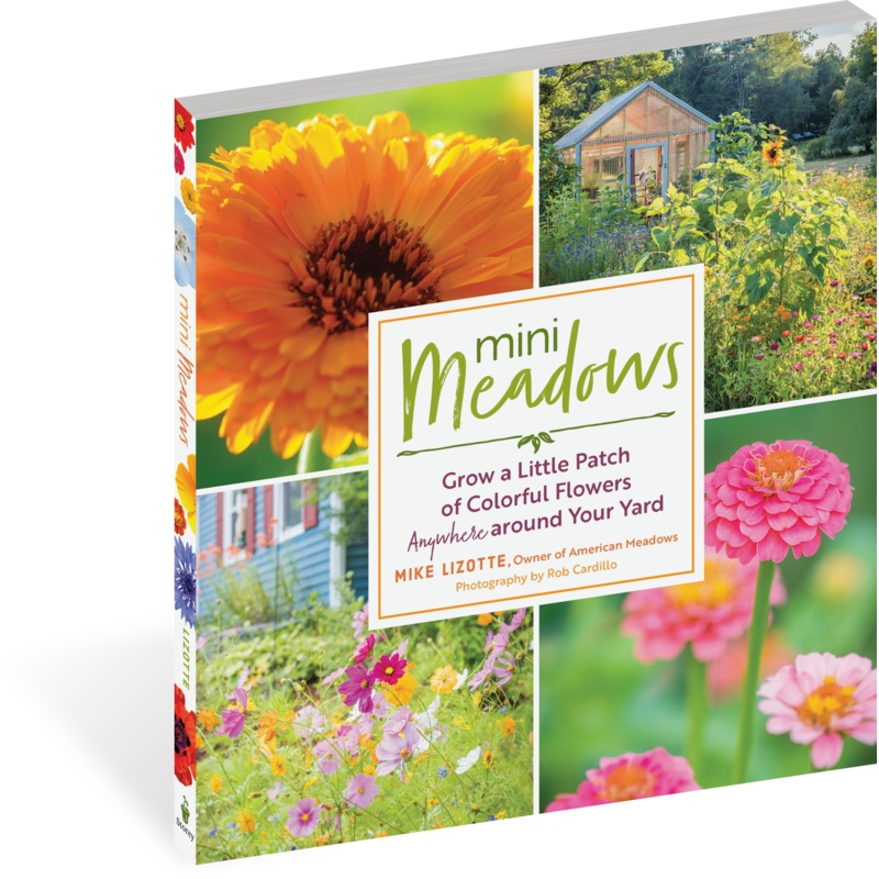 Mini Meadows