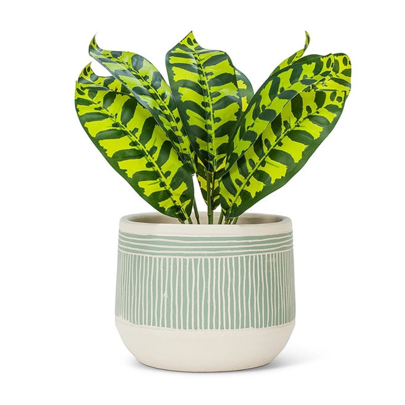 Green Large Etched Planter – 6.5D