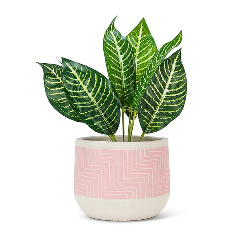 Pink Large Etched Planter – 6.5D