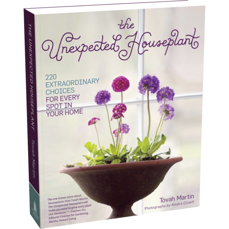 The Unexpected Houseplant