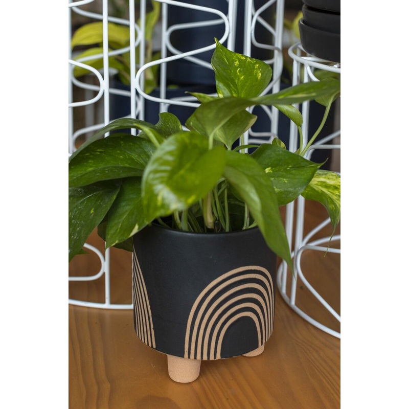 Asha Pot|5.25″ x 6″|6.75 x 7.5