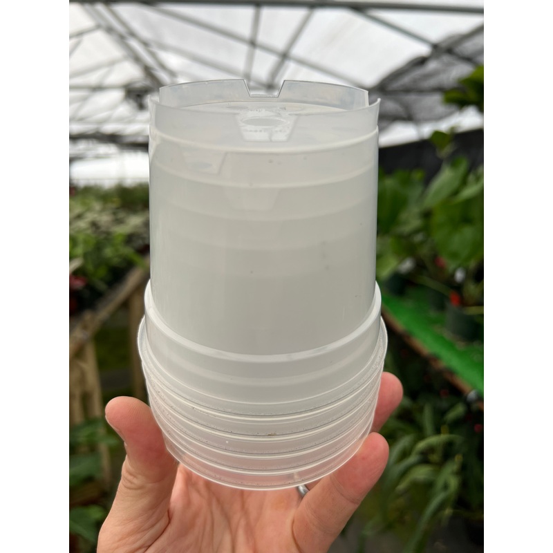 4 Clear grow pot (5 pack)