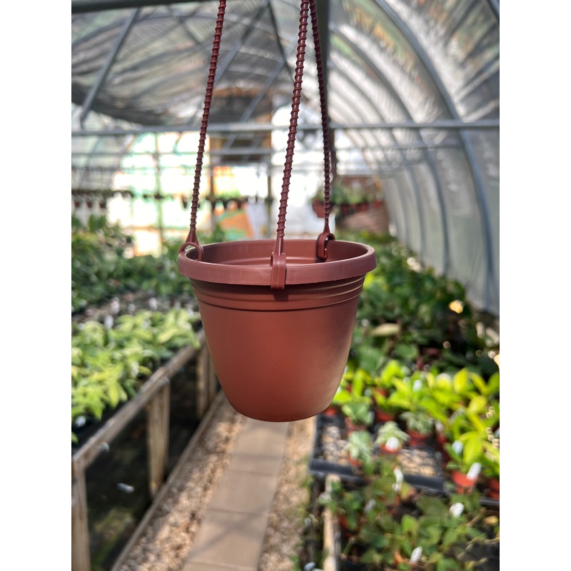 4 Hanging Basket