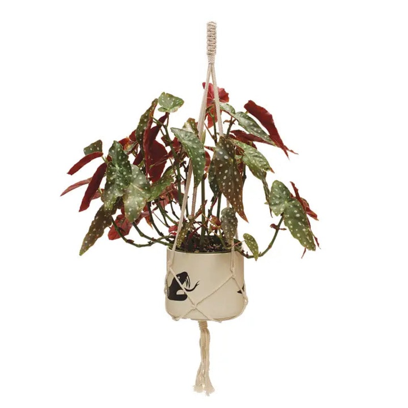 Natural Macrame Plant Hanger 40