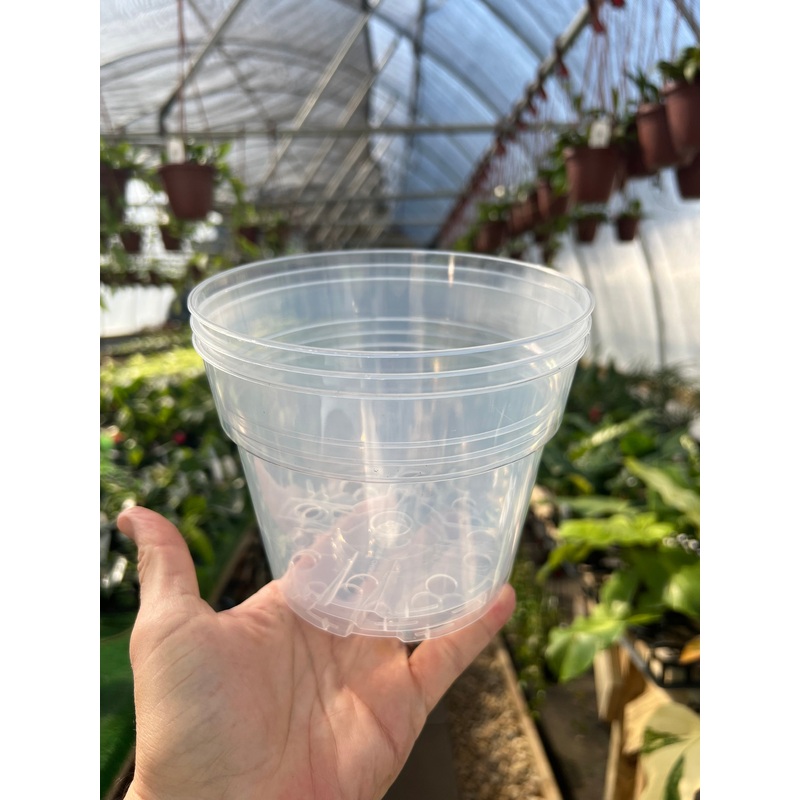 6 Clear grow pot (3 pack)