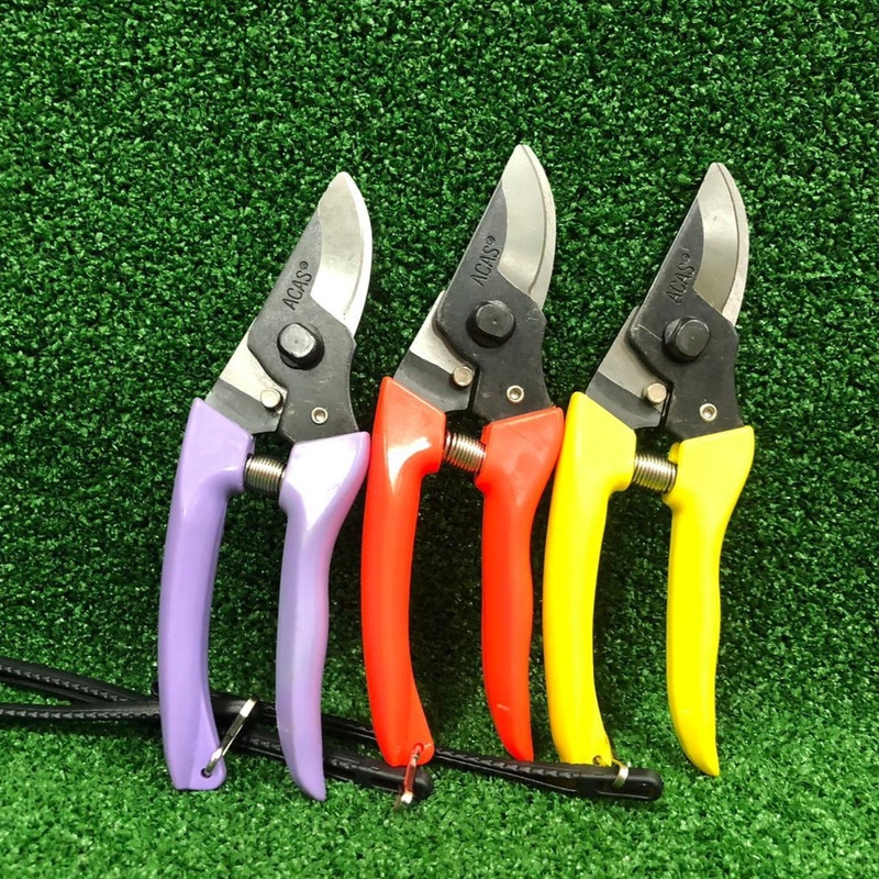 Ggssk ACAS Curved Pruning Shears (170 mmL)