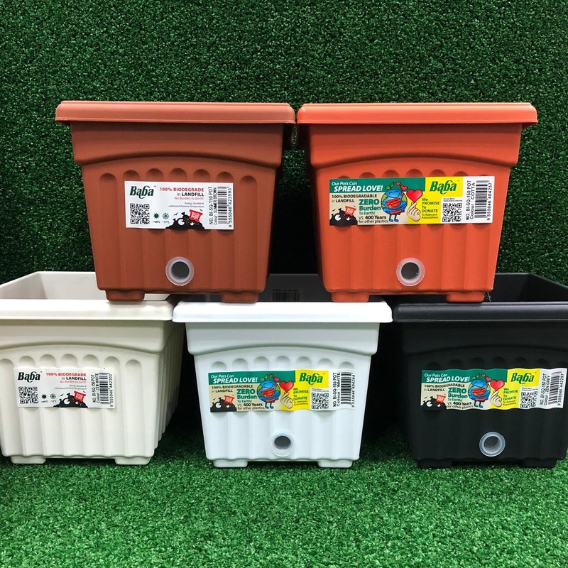 Ggssk BABA SQ-150 Plastic Pot|Cotta|White|Zen Grey|Summer Brown|Zen White