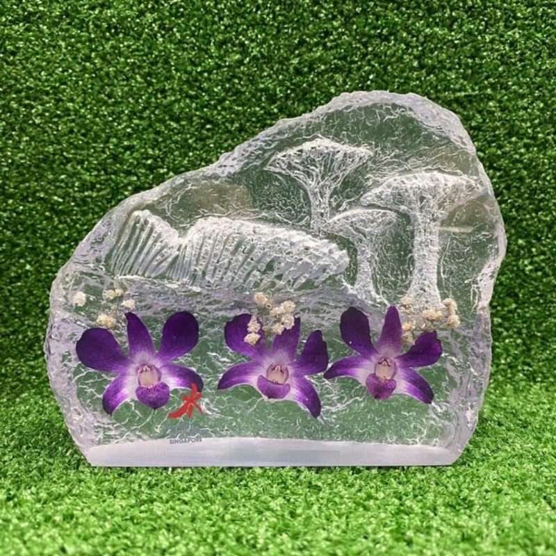 Mdspo Scenery Preserved Dendrobium Orchid Paperweight (Large)