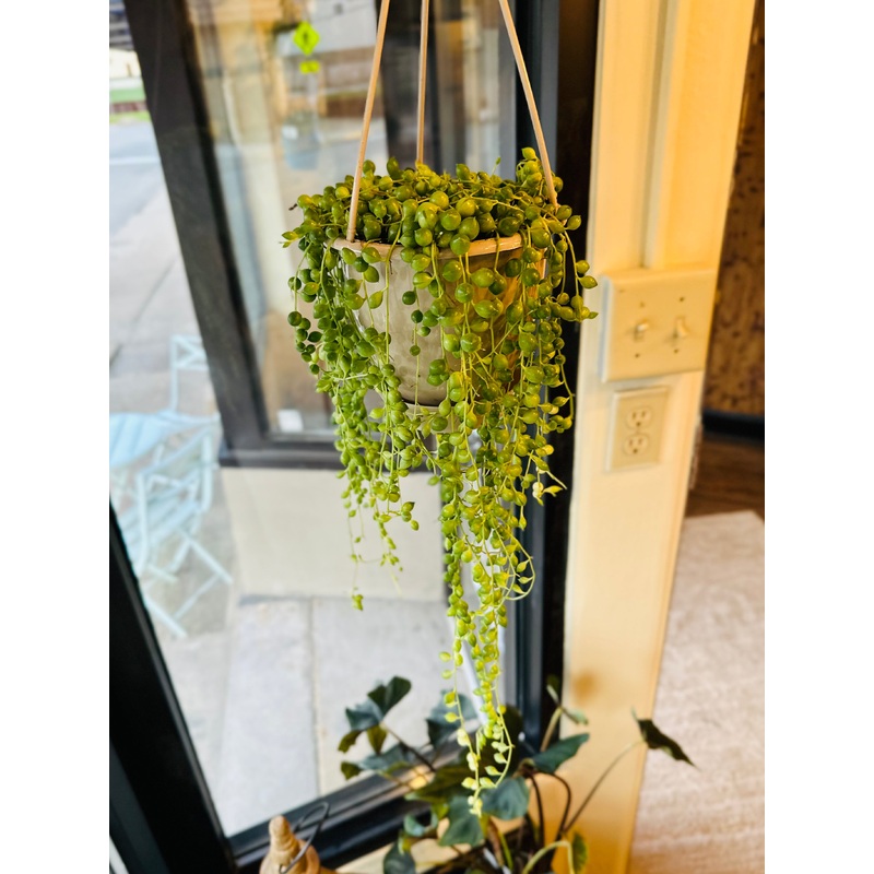4.5 String of Pearls Basket