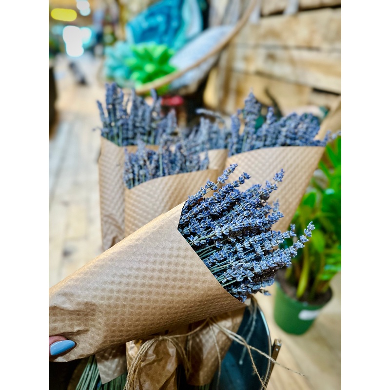 French Lavender Bundle