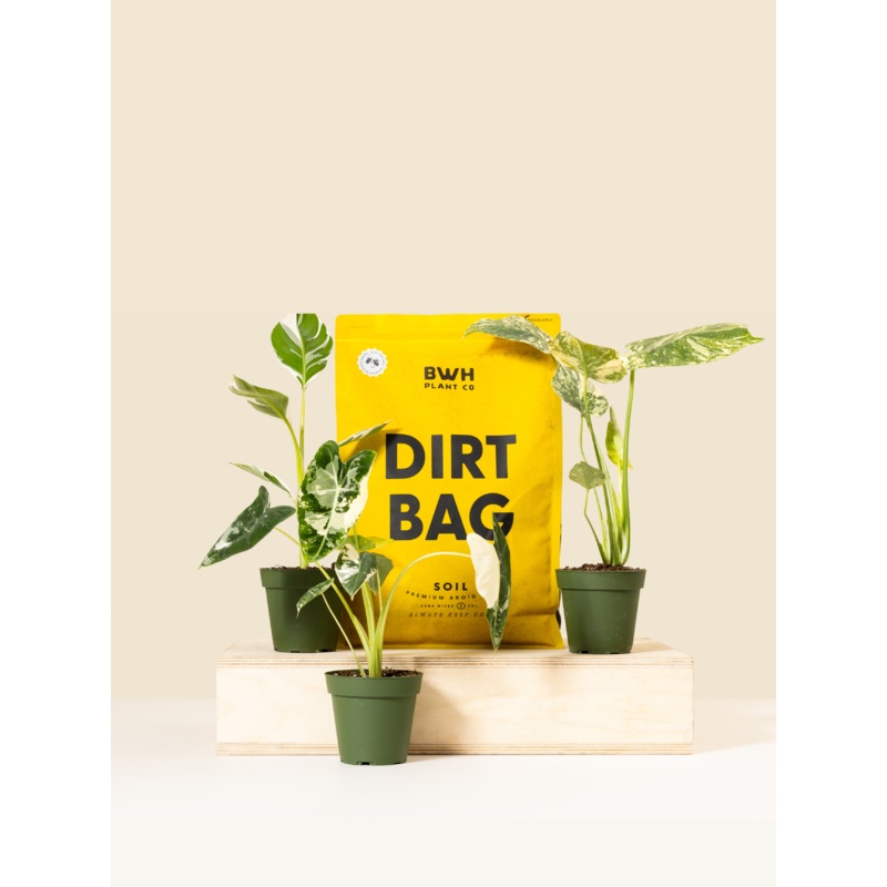 Green Thumb Bundle