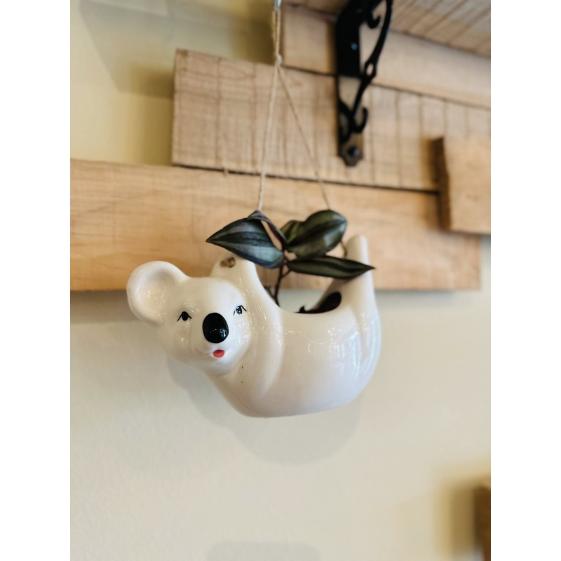 Koala Planter