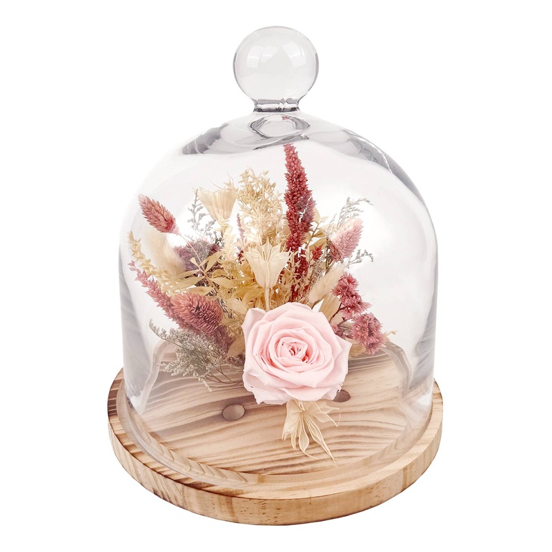 10 Pink Rose Cloche