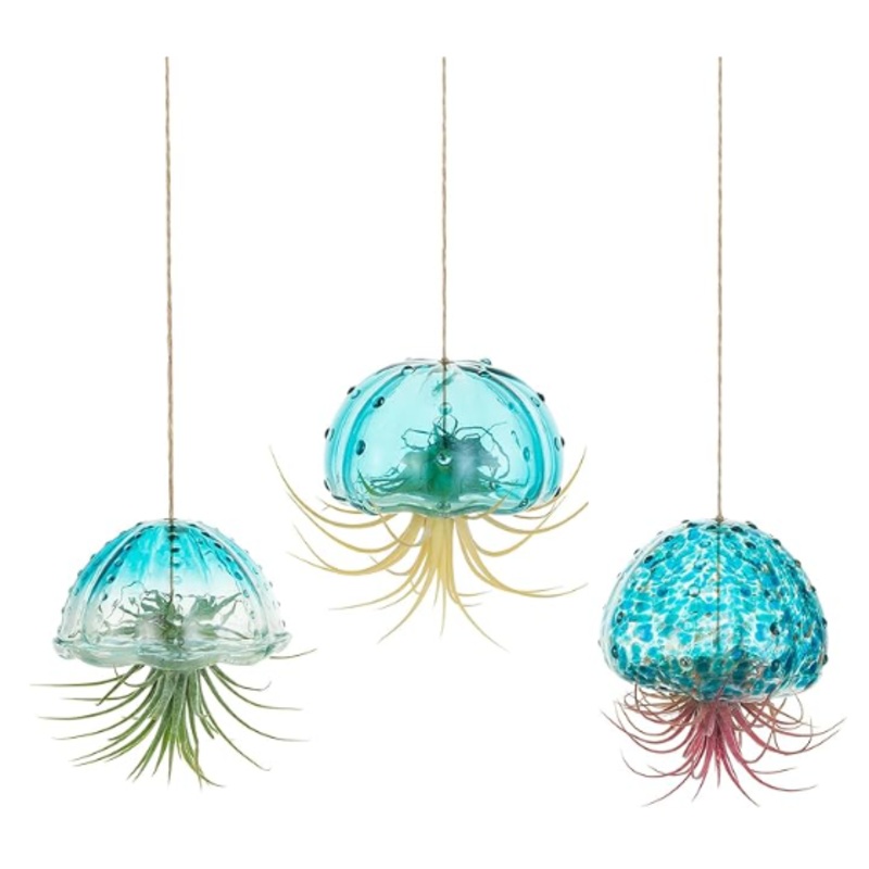 Glass Jellyfish Air Plant Hanger