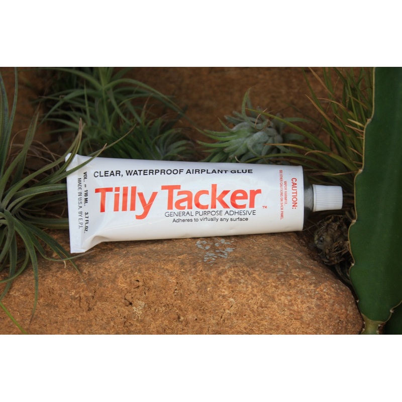 Tilly Tacker Tillandsia Adhesive