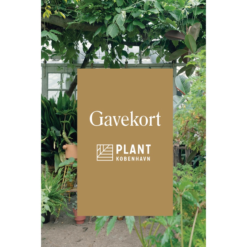 Gavekort (Gift Card)|DKK 100.00|DKK 150.00|DKK 200.00|DKK 250.00|DKK 300.00|DKK 400.00|DKK 500.00|DKK 600.00|DKK 700.00|DKK 800.00|DKK 900.00|DKK 1000.00|DKK 1250.00|DKK 1500.00|DKK 1800.00|DKK 2000.00|DKK 2500.00|DKK 3000.00