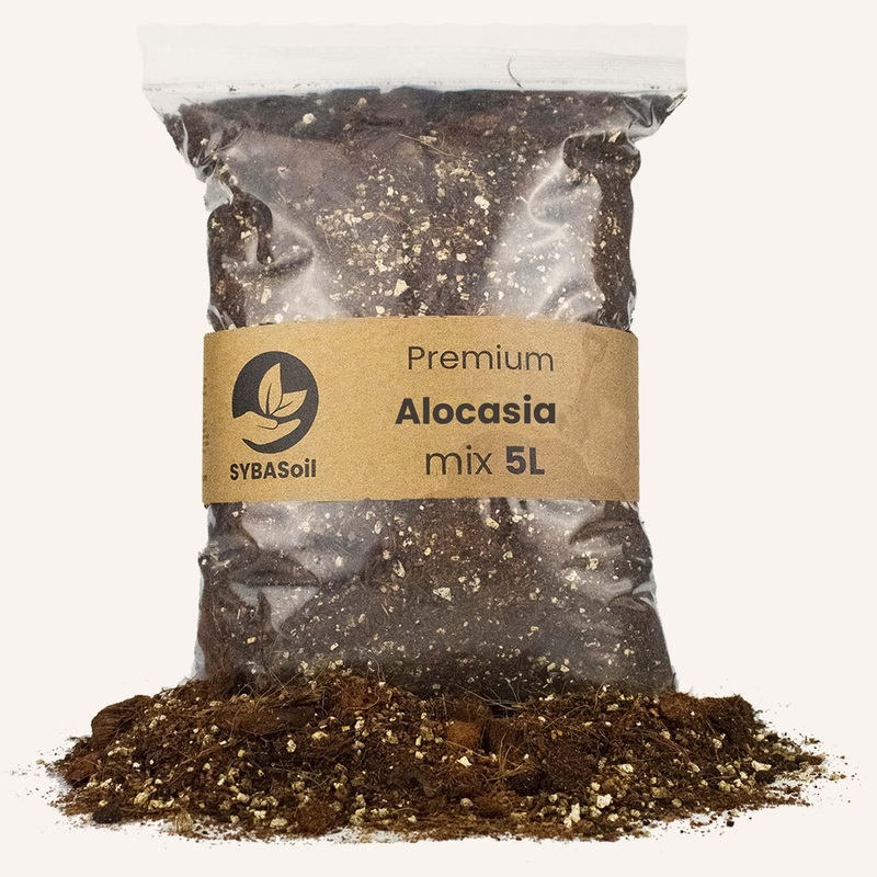 Alocasia Potting Mix 5L