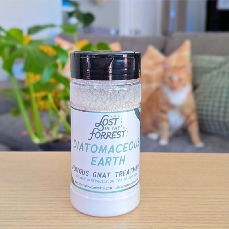 Diatomaceous Earth – Lost in the Forest