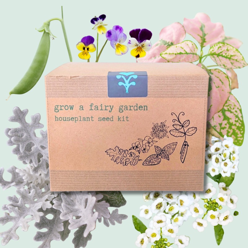 Grow a Fairy Garden Houseplant Seed Kit