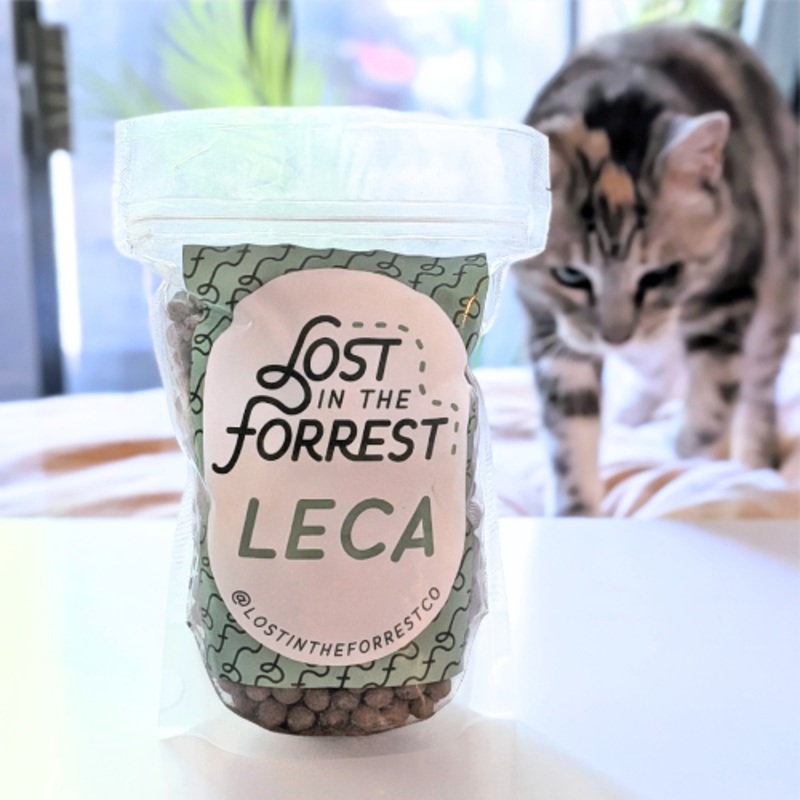 Leca – Lost in the Forest