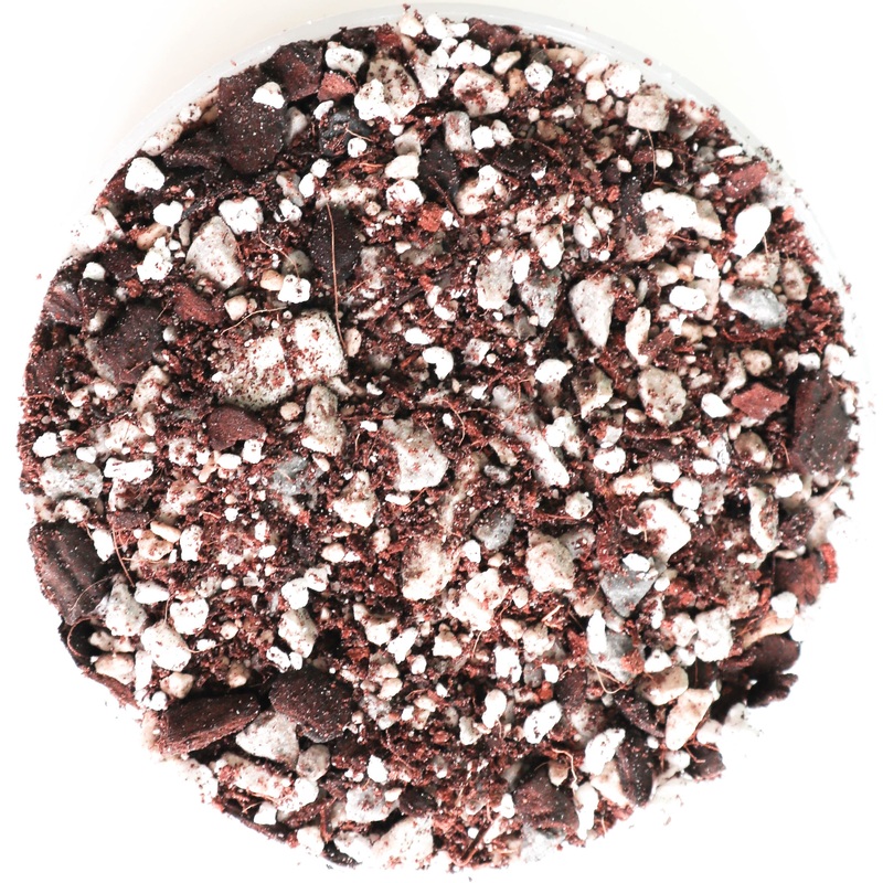 Succulent Soil|Medium (1L)|Large (3L)