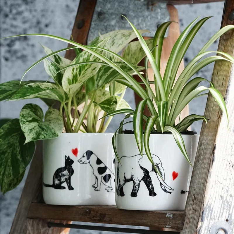 Unlikely Friends Pot|Elephant & Mouse|Cat & Dog