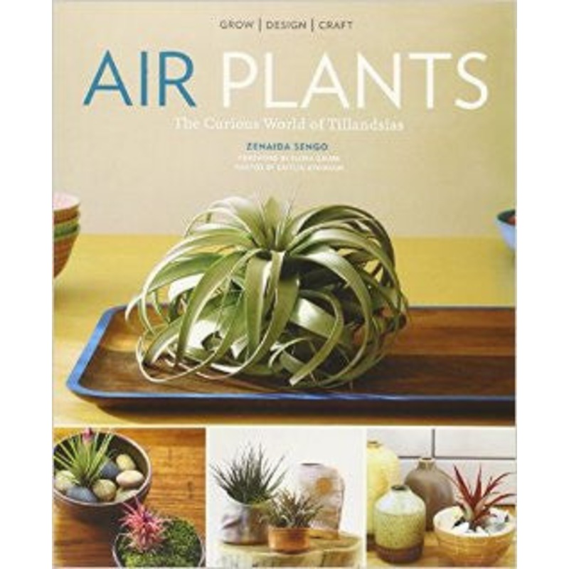 Air Plants by Zenaida Sengo