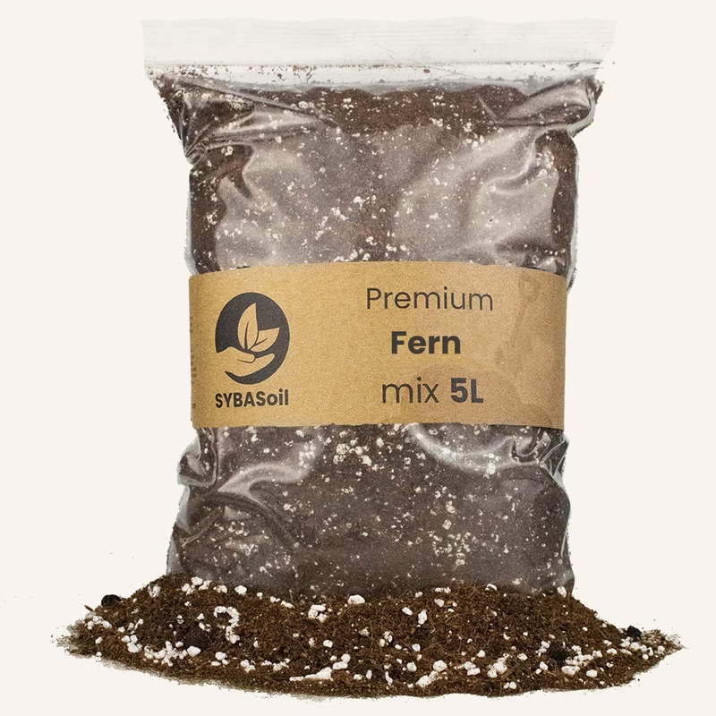 Fern Potting Mix 5L