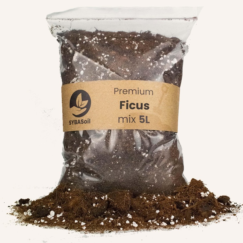 Ficus Potting Mix 5L