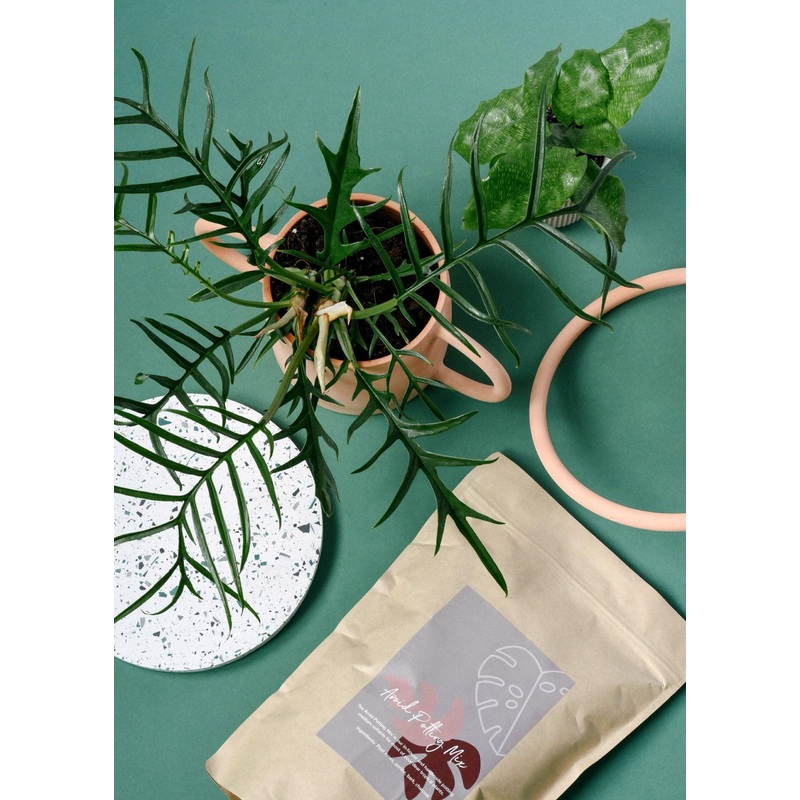 Plant Circle Gift Card|50.00|10.00|25.00|30.00|100.00|125.00|150.00|200.00|250.00|500.00|5.00
