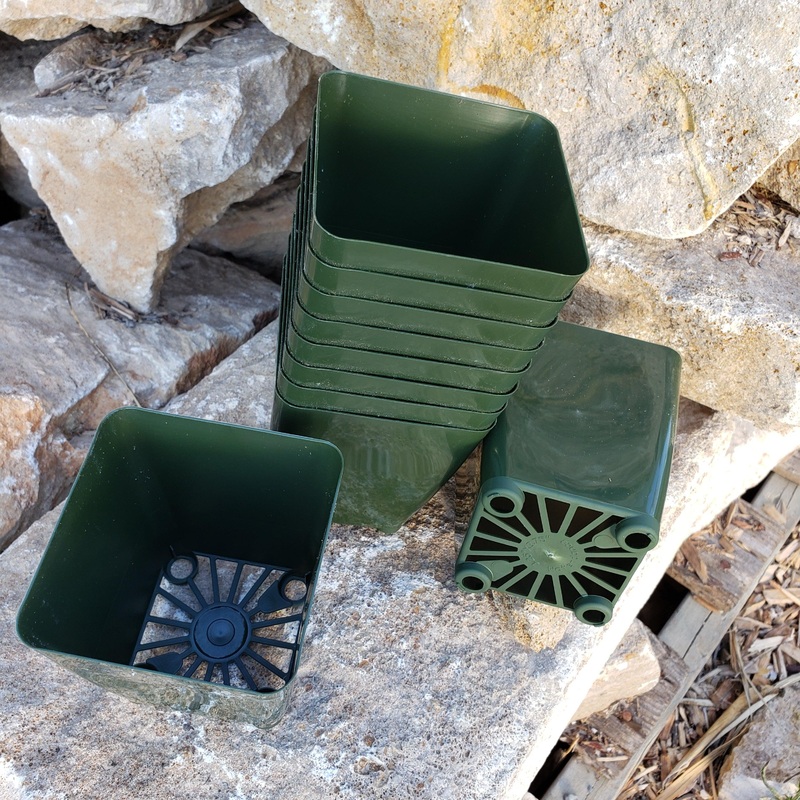 10- 3.5 inch cactus plastic pots