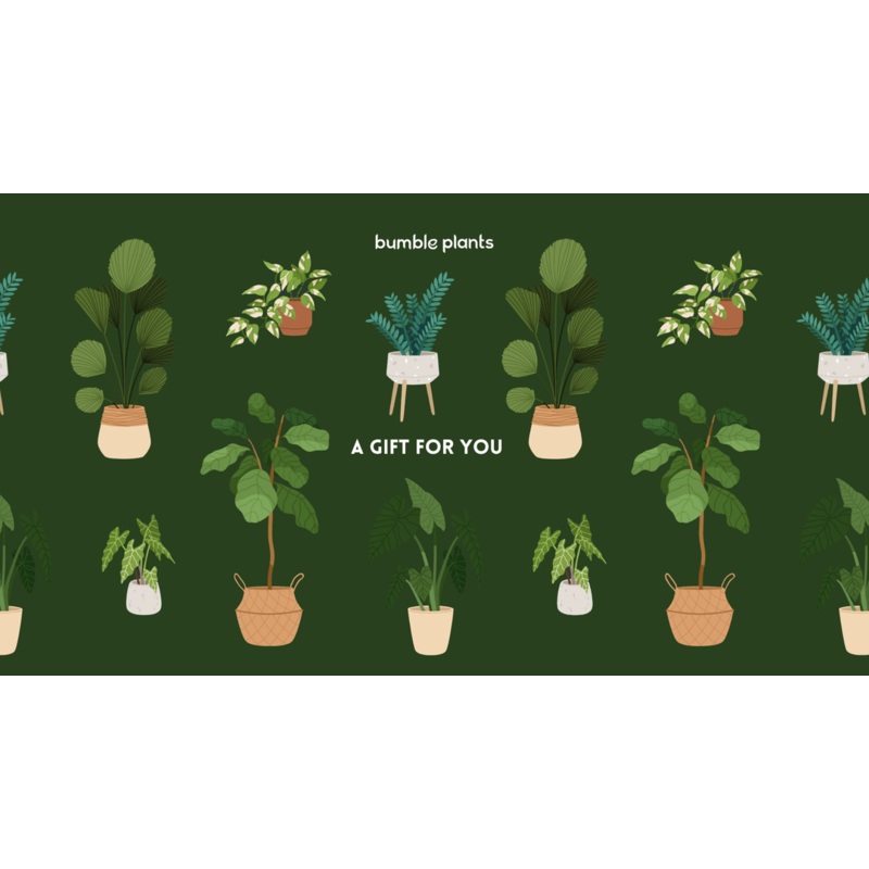 Bumble Plants Gift Card|$10.00|$25.00|$50.00|$100.00|$200.00|$500.00