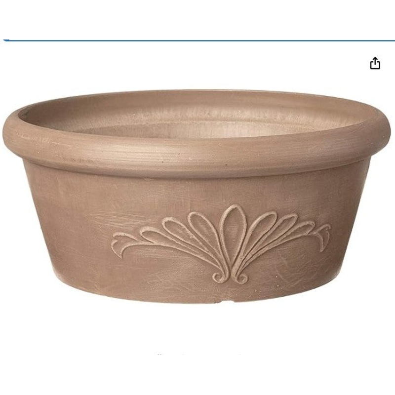 Shallow Planter Cacti Succulent Dish