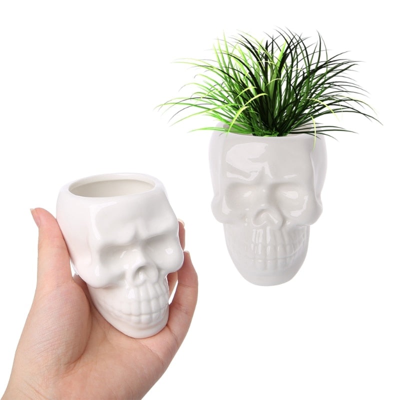 Skull Ceramic Flower succulent cactus Pot