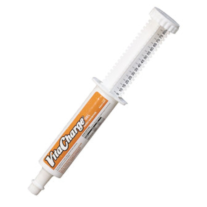 BioZyme Vita Charge Gel|60 mL