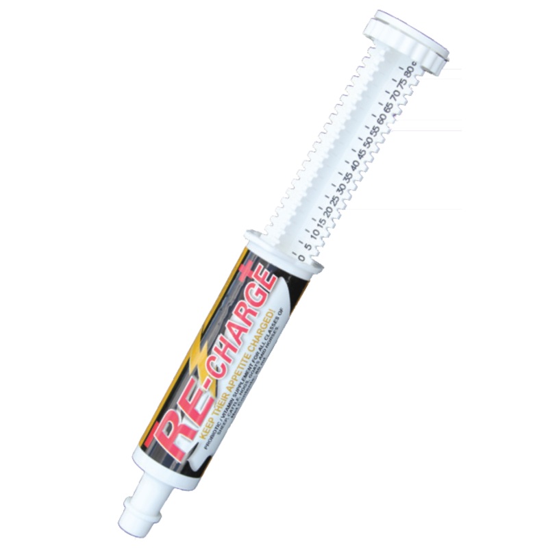 Formula of Champions SFI Re-Charge Paste