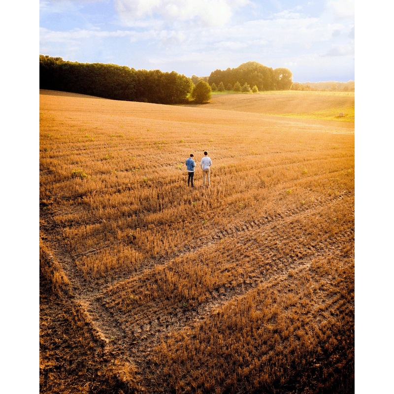 Hansen Mueller Steam Rolled Oats